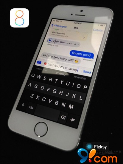 首款用于iOS 8系统的第三方输入法照片现身