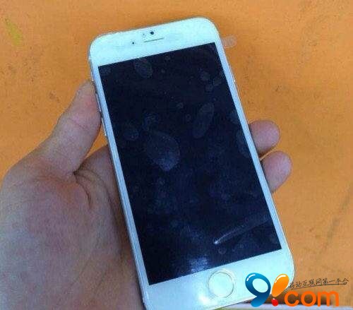 国内网站再次曝光iPhone 6 真机还是模型？